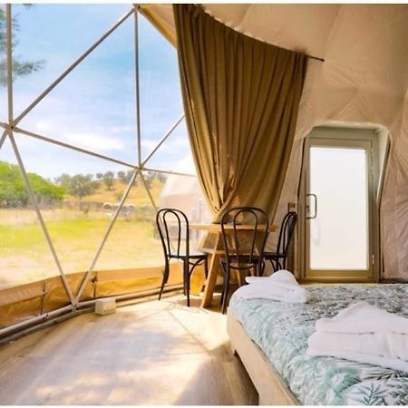 Caravans Park & Glamping Tents In The Vineyard Villa Turda Bagian luar foto