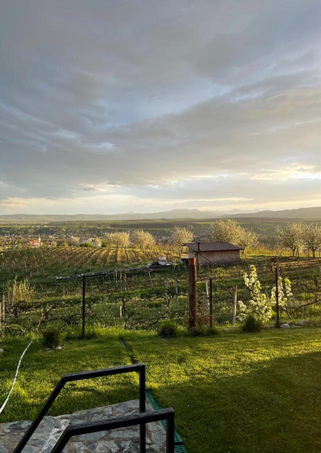 Caravans Park & Glamping Tents In The Vineyard Villa Turda Bagian luar foto